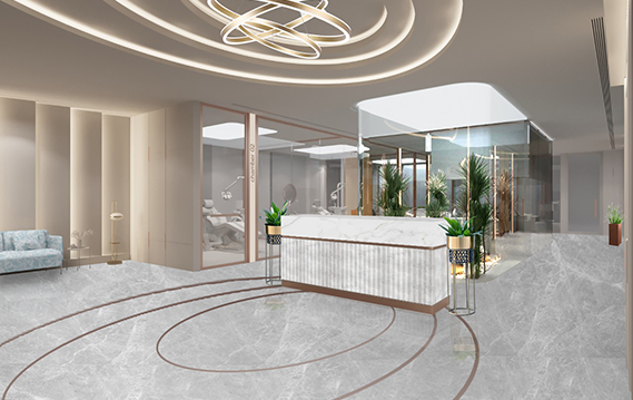 Commercial Clinic & Retail Dental Roots